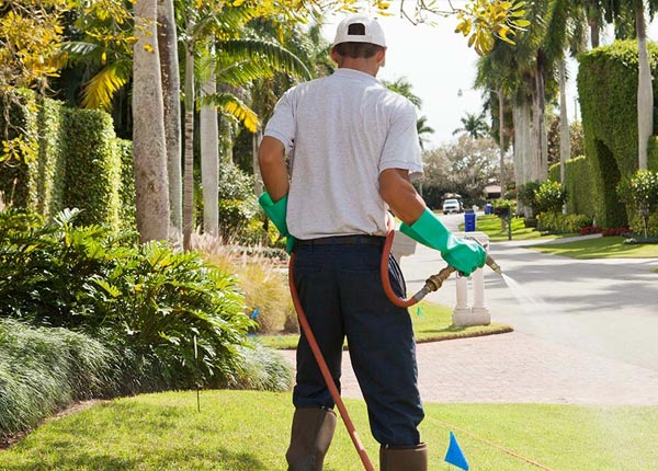 About Parmelee SD Pest Control